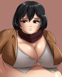 Fat Mikasa 