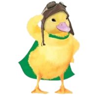 Ming Ming Duckling