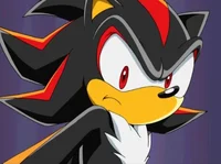 Shadow The HedgehogX