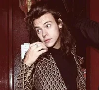 Harry Styles - AU
