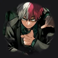 Shoto Todoroki 