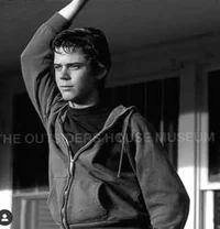 ponyboy curtis