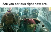 TMNT BAYVERSE