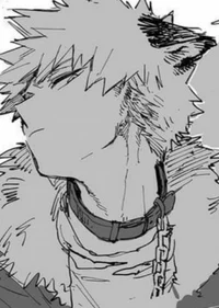 Katsuki Bakugou