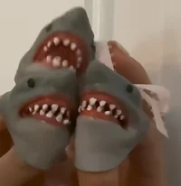 Shark babies