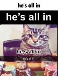 Hes all in