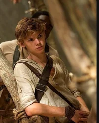 Newt