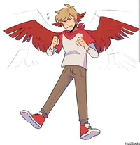 Tommy TCFSV