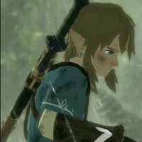 Link- BotW