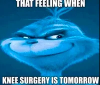 Blue grinch