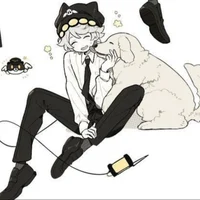 Serial Designation N