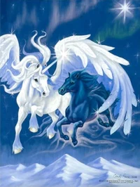 Nyx and Iceking 