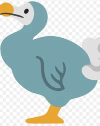 Dodo