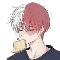 Shoto Todoroki