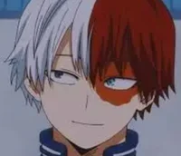 Shoto Todoroki