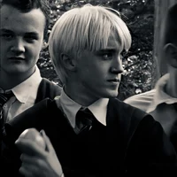 DRACO L MALFOY