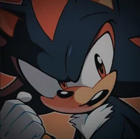 Shadow The Hedgehog