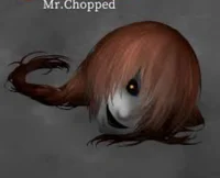 Mr Chopped