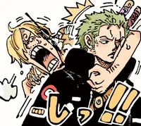 Sanji and Zoro