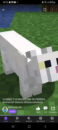 Gato de Minecraft 