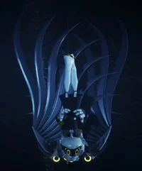 Serial designation N