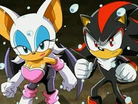 Shadow and Rouge