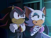 Shadow and Rouge