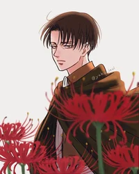 Levi Ackerman 