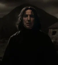 Adult Snape
