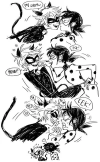 Chat noir 