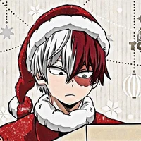 Shoto Todoroki 