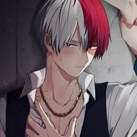 MHA - Shoto Todoroki