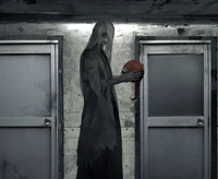 Mr Silver-Mr Chopped