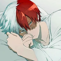 MHA - Shoto Todoroki