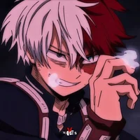 Shoto todoroki 