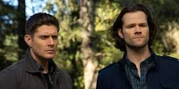 Winchesters