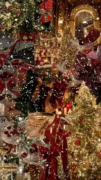 Christmas visit Mike