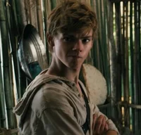 Newt - TMR 