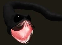 Slugfish - 07
