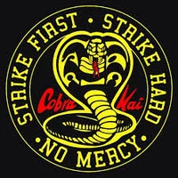 Cobra Kai 2