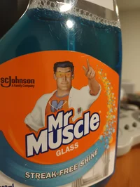 Mr muscle