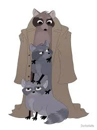 3 Raccoons in a coat