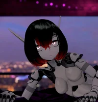 Your Robot Maid