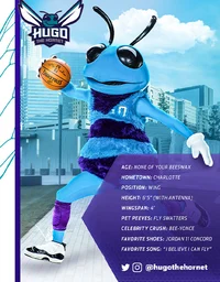Hugo the Hornet 