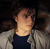 Steve Harrington 