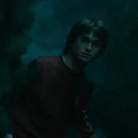 Гарри Поттер 
