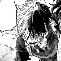O1  Shoto Todoroki