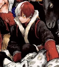 Shoto Todoroki 