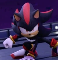 Shadow the Hedgehog