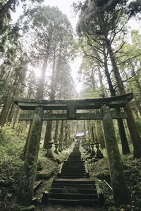 Iván-Mundo con dones